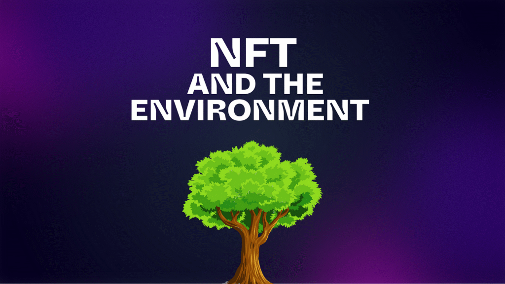 NFT Environment