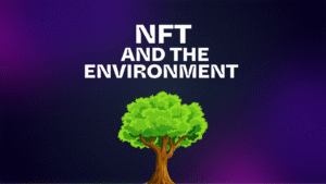 NFT Environment