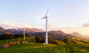 NFTs and Environmental Sustainability